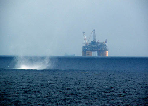 exp308_044