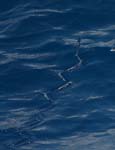 exp308_035