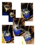 exp308_042
