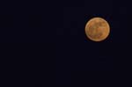 exp308_062