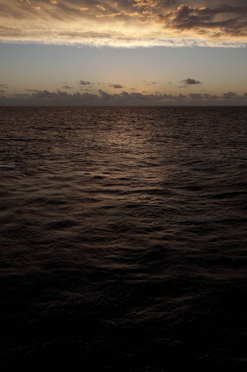 exp329_138