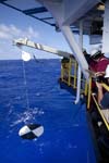 exp329_165