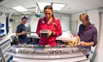 exp330_063