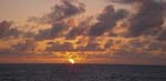 exp330_066