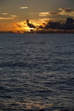 exp352_088